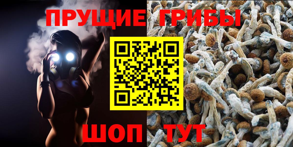 где можно купить   Псилоцибиновые грибы ЛСД  Вход с VPN  Чистополь 